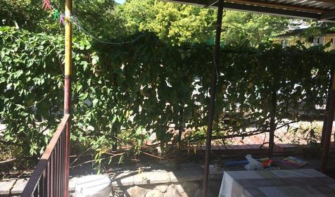 Четырехместный с верандойй