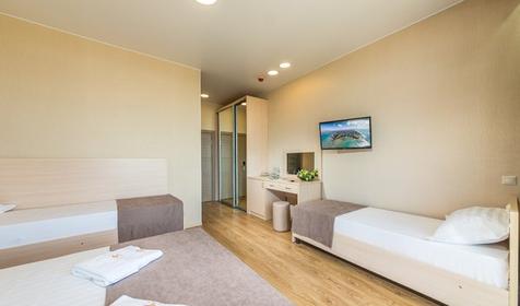 Стандарт четырехместный. Отель ДельМарИнн. Анапа, Витязево