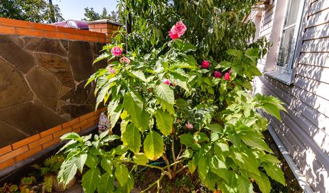 Гостевой дом Сенной. Темрюкский район, п. Сенной