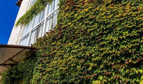 Гостевой дом "Дом у моря (Villa Costa)", г. Анапа, п. Джемете