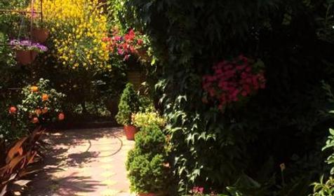 Гостевой дом Валентина. Сочи, Адлер