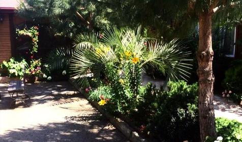 Гостевой дом Валентина. Сочи, Адлер