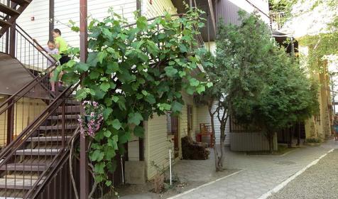 Гостевой дом Звездный. Анапа, Джемете