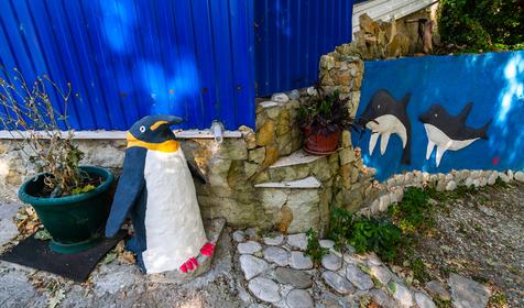 Частное домовладение У Ирины. Туапсе, Агой