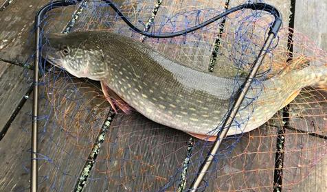 Резиденция комфорта Fishing Family