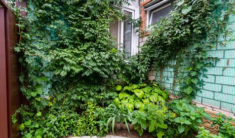 Отдельный трехкомнатный дом. Гостевой дом Август, г. Анапа