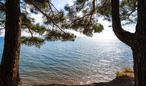 Туапсинский район