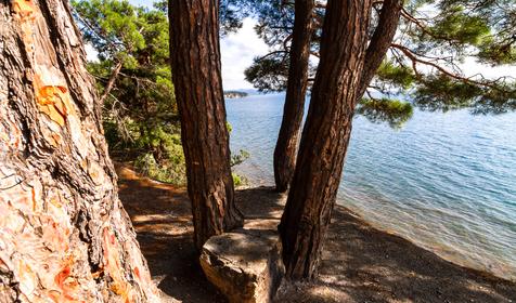 Туапсинский район