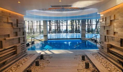 SPA Hotel & Wellness Приморье Grand Resort Hotel, Геленджик
