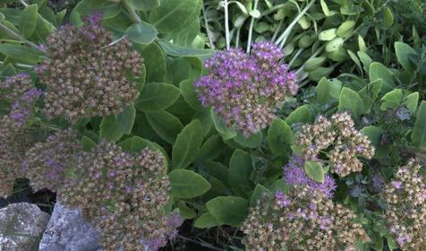 Солнечная горка