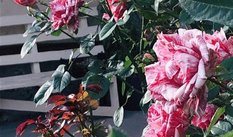 Солнечная горка