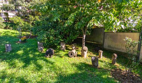 Гостевой дом Пирамида, Сочи