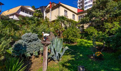 Гостевой дом Пирамида, Сочи