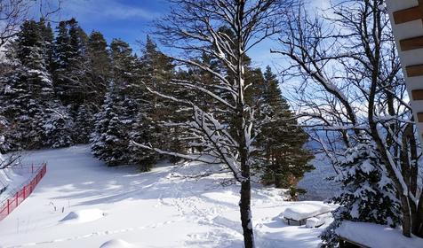 Сруб №4. База отдыха Сосновая терраса, плато Лаго-Наки