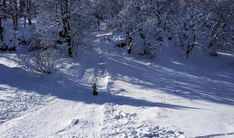 Коттедж Сосновая терраса, плато Лаго-Наки