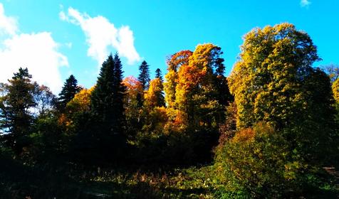 Коттедж Сосновая терраса, плато Лаго-Наки
