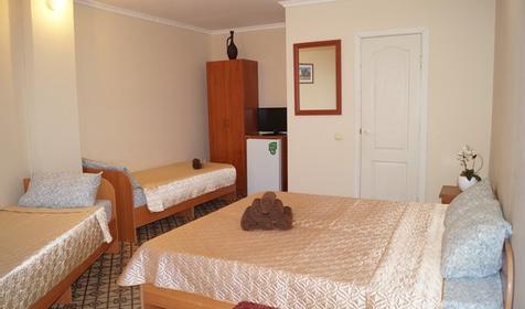 Стандарт четырехместный. Гостиница Скала. Анапа