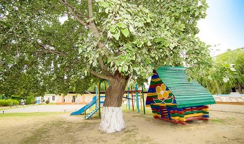 Отель Дельфин. Анапа, Джемете