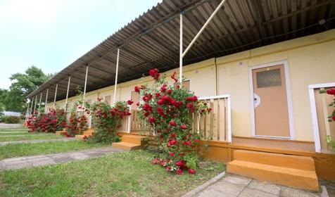 Отель Дельфин. Анапа, Джемете