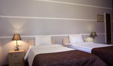 Стандарт 2-местный с балконом/террасой. Гостиничный комплекс Rosa Village (Роза Вилладж), Сочи, Красная Поляна, п. Эсто-Садок