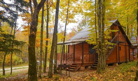 Зеленый Гай