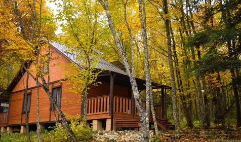 Зеленый Гай