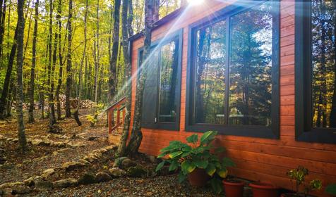 Зеленый Гай