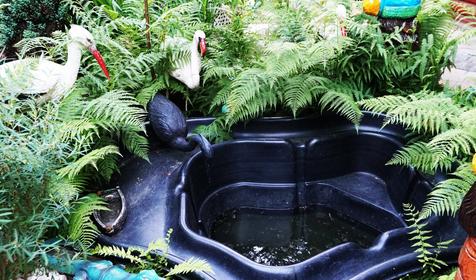 Пансионат-гостиница Дарьял, Сочи, Красная Поляна