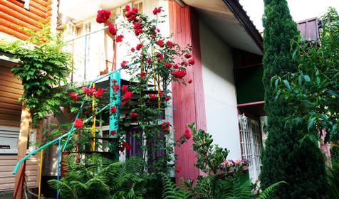 Пансионат-гостиница Дарьял, Сочи, Красная Поляна