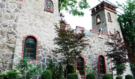 Пансионат-гостиница Дарьял, Сочи, Красная Поляна