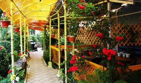 Пансионат-гостиница Дарьял, Сочи, Красная Поляна