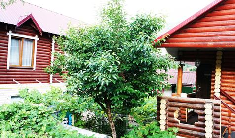 Пансионат-гостиница Дарьял, Сочи, Красная Поляна