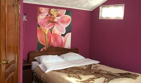 Двухместный Дабл. Гостевой дом Дарьял, Сочи, Красная Поляна