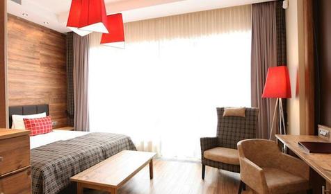 Двухместный стандарт. Поляна 1389 Отель и СПА, Сочи, Адлерский район, Красная Поляна, Эсто-Садок