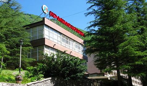 База отдыха Красная Поляна. Сочи