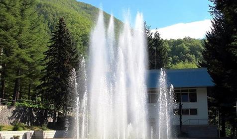 База отдыха Красная Поляна. Сочи