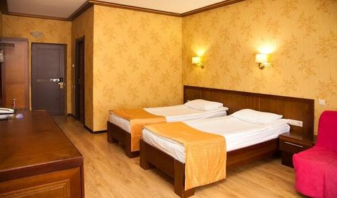 Стандарт двухместный. Отель Гала Плаза. Сочи, Эсто-Садок