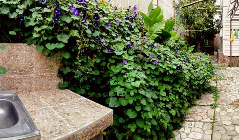 Гостевой дом Киркоров Сити. Туапсе, Агой