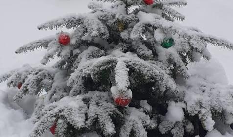 Романтик у реки