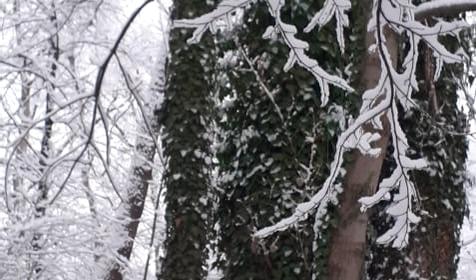 Романтик у реки