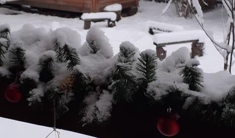 Романтик у реки