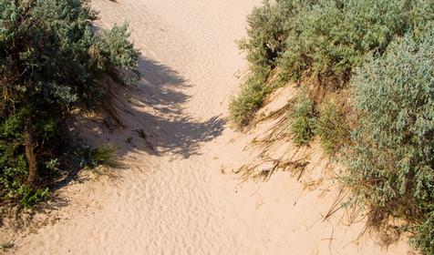 Пансионат Веста. Анапа, Пионерский проспект