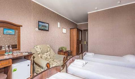  Полулюкс трехместный. Отель Турист, Анапа, Витязево