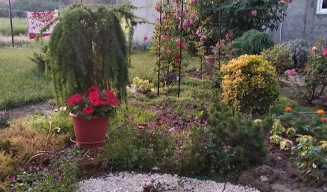 Гостевой дом Валерия, Анапа, Благовещенская