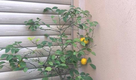 Гостевой дом На Просвещения 152/2