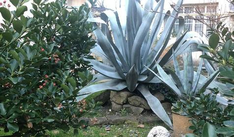 Гостевой дом На Просвещения 152/2