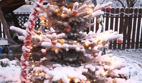 Шестиместный