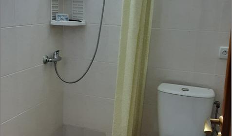 Трехместный