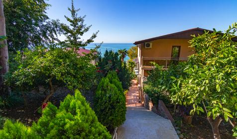 Анжелика-Альбатрос