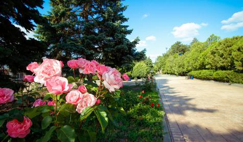 Пансионат Солнечный, Анапа, Джемете